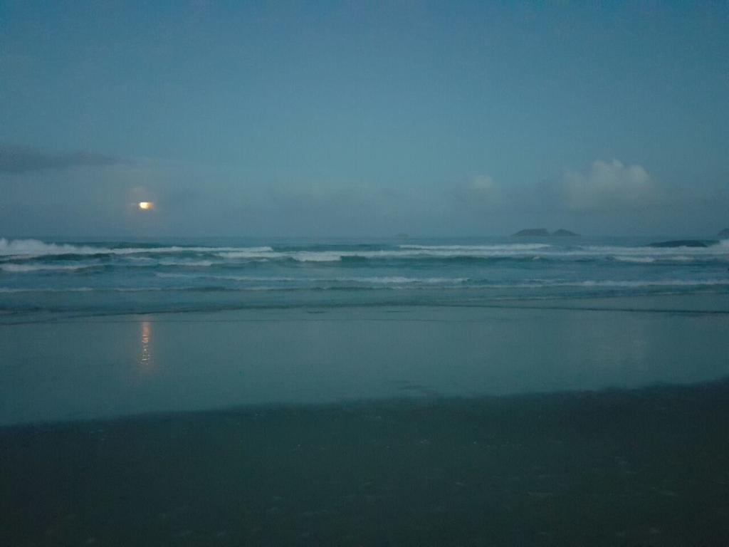 Ingleses A 50 Metros Da Praia 5 Pessoas 101 Florianópolis Eksteriør billede